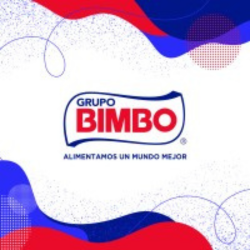 bimboecuador